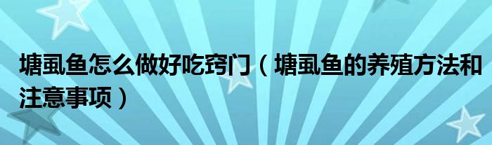 塘虱鱼怎么做好吃窍门（塘虱鱼的养殖方法和注意事项）