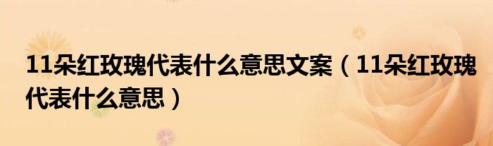 11朵红玫瑰代表什么意思文案（11朵红玫瑰代表什么意思）