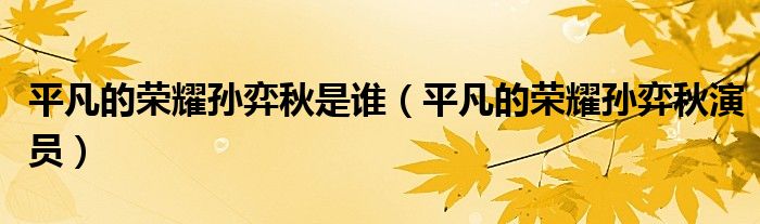 平凡的荣耀孙弈秋是谁（平凡的荣耀孙弈秋演员）