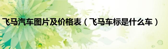 飞马汽车图片及价格表（飞马车标是什么车）