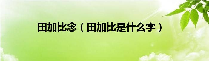 田加比念（田加比是什么字）