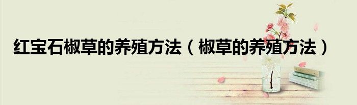 红宝石椒草的养殖方法（椒草的养殖方法）
