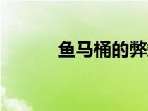 鱼马桶的弊端（鱼马桶好用吗）