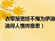 衣带渐宽终不悔为伊消得人憔悴全词（衣带渐宽终不悔为伊消得人憔悴意思）