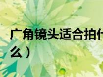 广角镜头适合拍什么场景（长焦镜头适合拍什么）