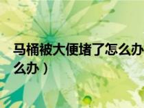 马桶被大便堵了怎么办疏通马桶有妙招（马桶被大便堵了怎么办）