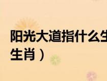 阳光大道指什么生肖最佳（阳光大道是指什么生肖）