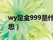 wy足金999是什么意思（足金999是什么意思）