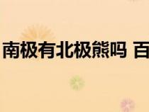 南极有北极熊吗 百度知道（南极有北极熊吗）