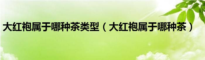 大红袍属于哪种茶类型（大红袍属于哪种茶）