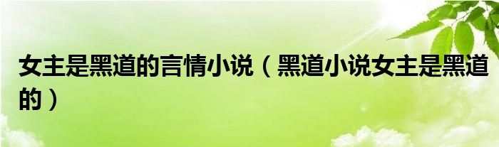 女主是黑道的言情小说（黑道小说女主是黑道的）