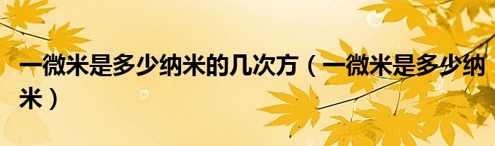 一微米是多少纳米的几次方（一微米是多少纳米）