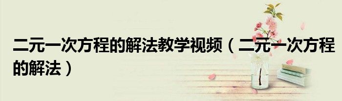 二元一次方程的解法教学视频（二元一次方程的解法）