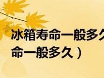 冰箱寿命一般多久西门子冰箱250升（冰箱寿命一般多久）
