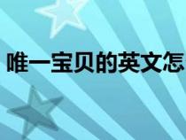 唯一宝贝的英文怎么写（宝贝的英文怎么写）