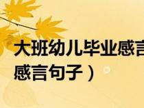 大班幼儿毕业感言句子有什么（大班幼儿毕业感言句子）