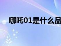 哪吒01是什么品牌（哪吒no1是什么车）