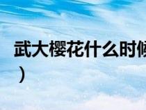 武大樱花什么时候开始（武大樱花什么时候开）