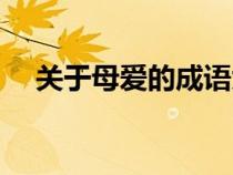 关于母爱的成语大全（关于母爱的成语）