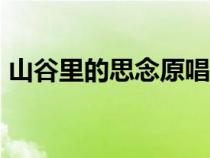 山谷里的思念原唱dj版（山谷里的思念原唱）