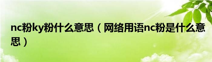 nc粉ky粉什么意思（网络用语nc粉是什么意思）