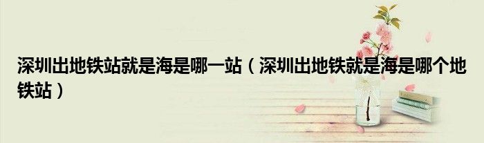 深圳出地铁站就是海是哪一站（深圳出地铁就是海是哪个地铁站）