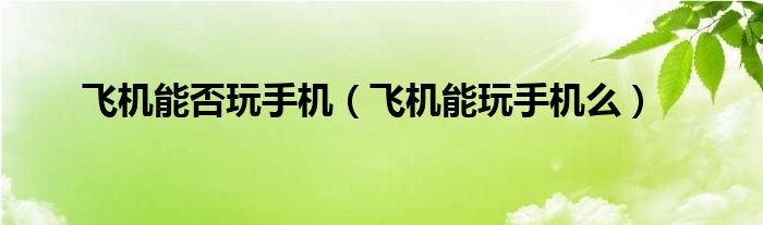飞机能否玩手机（飞机能玩手机么）