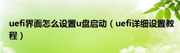 uefi界面怎么设置u盘启动（uefi详细设置教程）