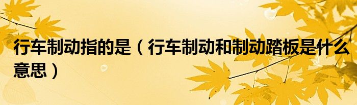 行车制动指的是（行车制动和制动踏板是什么意思）