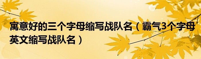 寓意好的三个字母缩写战队名（霸气3个字母英文缩写战队名）