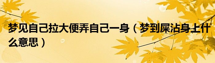 梦见自己拉大便弄自己一身（梦到屎沾身上什么意思）