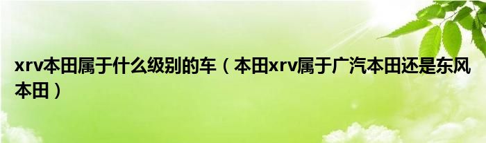 xrv本田属于什么级别的车（本田xrv属于广汽本田还是东风本田）