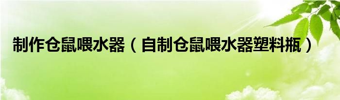 制作仓鼠喂水器（自制仓鼠喂水器塑料瓶）