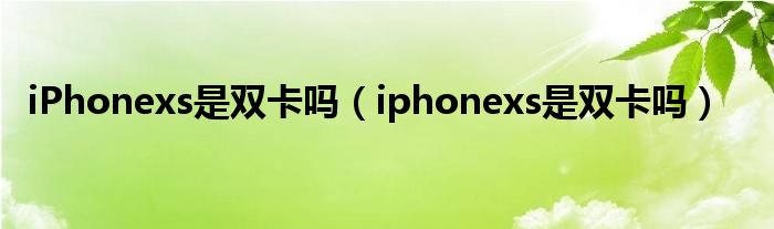 iPhonexs是双卡吗（iphonexs是双卡吗）