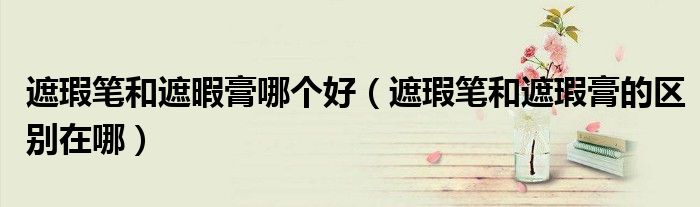 遮瑕笔和遮暇膏哪个好（遮瑕笔和遮瑕膏的区别在哪）