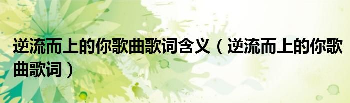 逆流而上的你歌曲歌词含义（逆流而上的你歌曲歌词）