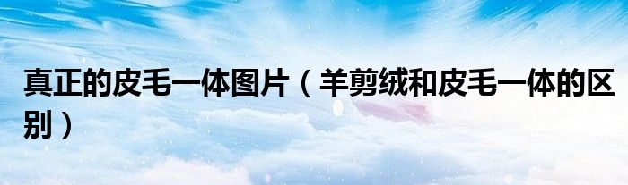 真正的皮毛一体图片（羊剪绒和皮毛一体的区别）
