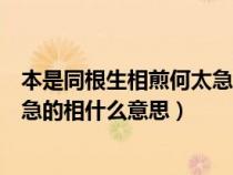 本是同根生相煎何太急的全首诗意思（本是同根生相煎何太急的相什么意思）