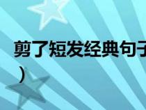 剪了短发经典句子怎么说（剪了短发经典句子）