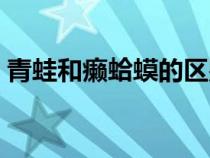青蛙和癞蛤蟆的区别（蟾蜍和癞蛤蟆的区别）
