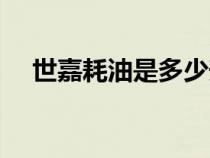 世嘉耗油是多少升的（世嘉耗油是多少）