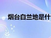 烟台白兰地是什么酒（白兰地是什么酒）