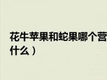 花牛苹果和蛇果哪个营养价值高（蛇果和花牛苹果的区别是什么）