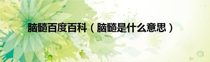 脑髓百度百科（脑髓是什么意思）