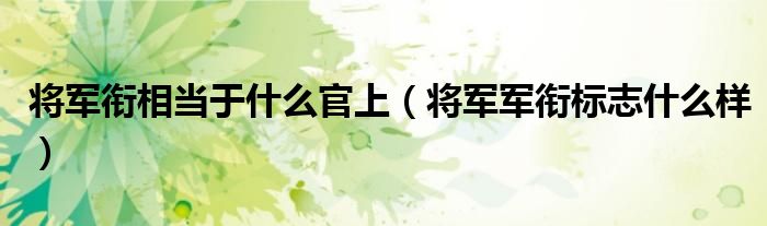 将军衔相当于什么官上（将军军衔标志什么样）