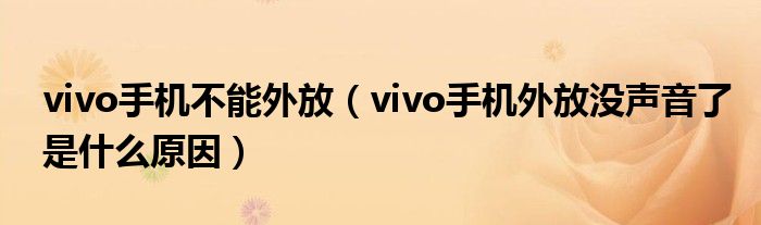 vivo手机不能外放（vivo手机外放没声音了是什么原因）