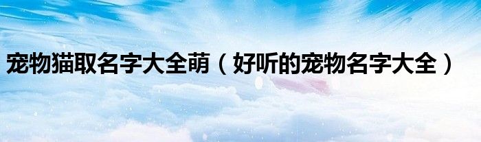 宠物猫取名字大全萌（好听的宠物名字大全）