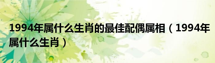1994年属什么生肖的最佳配偶属相（1994年属什么生肖）