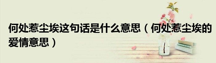 何处惹尘埃这句话是什么意思（何处惹尘埃的爱情意思）