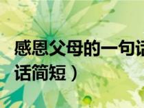 感恩父母的一句话简短一点（感恩父母的一句话简短）